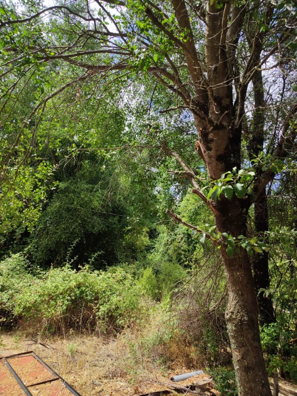 Vendo Parcela de 5.000M2, Con un Estero en la Entrada y Rio