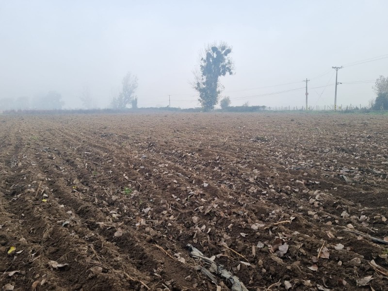 Terrenos 1,9 Has. en Linares Ideal Inmobiliarias E Inversión