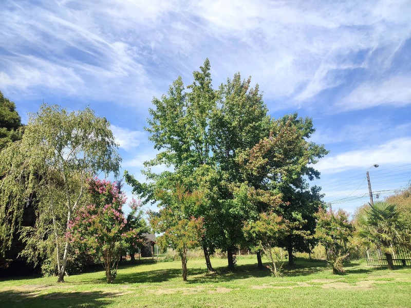 Arriendo Casa en Interior de Condominio 5.000M2, 0.5Km de la