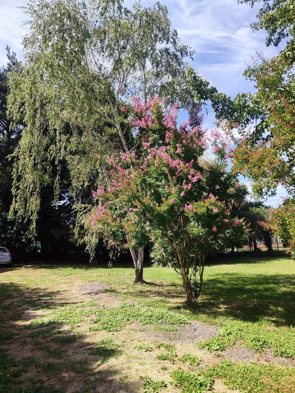 Arriendo Casa en Interior de Condominio 5.000M2, 0.5Km de la