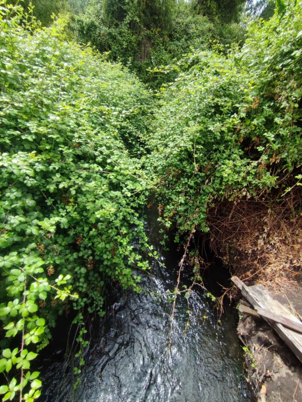 Vendo Parcela de 5.000M2, Con un Estero en la Entrada y Rio