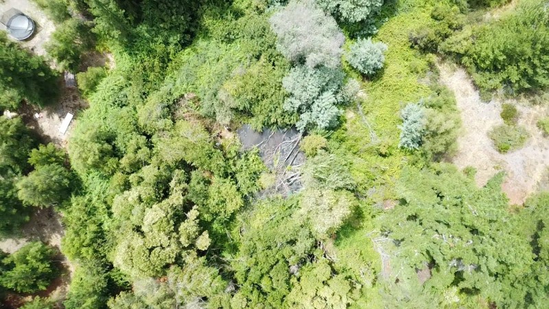 Vendo Parcela de 5.000M2, Con un Estero en la Entrada y Rio