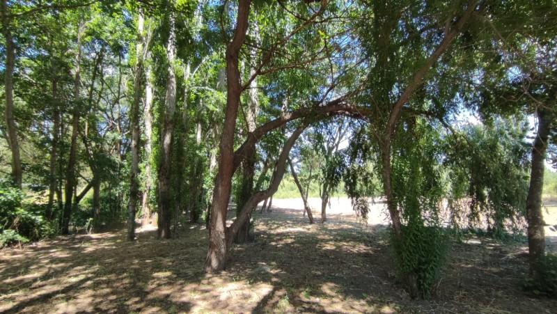 Vende Parcela A 10Km de los Ángeles Con Orilla de Rio