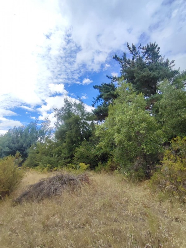 Vendo Parcela de 5.000M2, Con un Estero en la Entrada y Rio