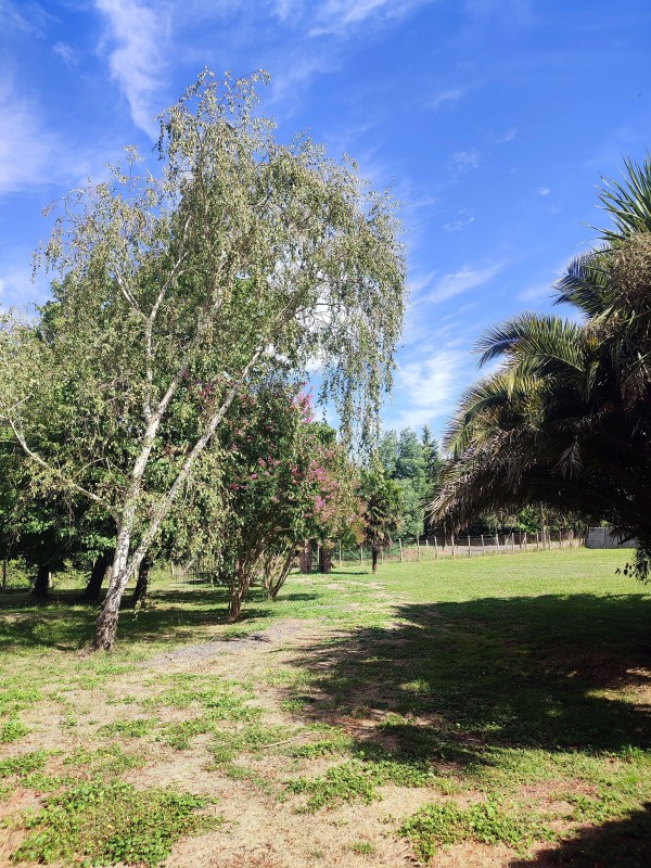 Arriendo Casa en Interior de Condominio 5.000M2, 0.5Km de la