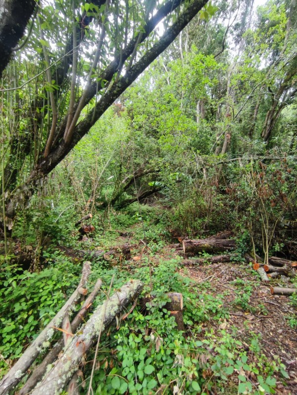 Vendo Parcela de 5.000M2, Con un Estero en la Entrada y Rio
