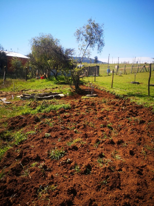 en Venta Parcela Sector Quiñihuao - San Nicolas