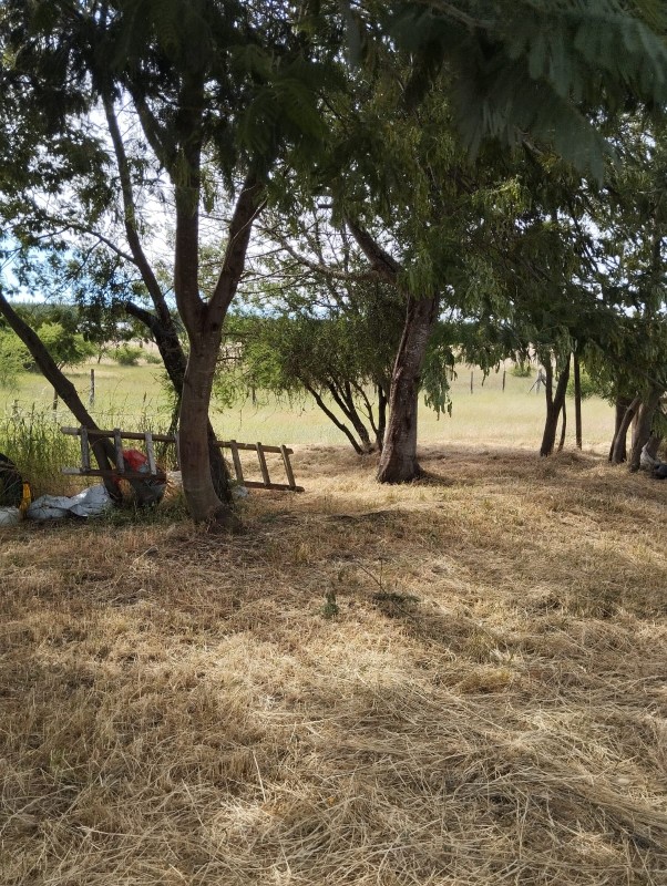 en Venta Parcela Sector Quiñihuao - San Nicolas