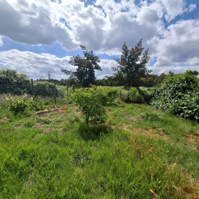 en Venta Acogedora Casa en Sector Confluencia