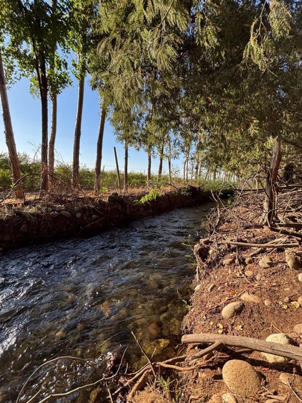 Venta de Parcela en San Ramón, Cato, Región de Ñuble