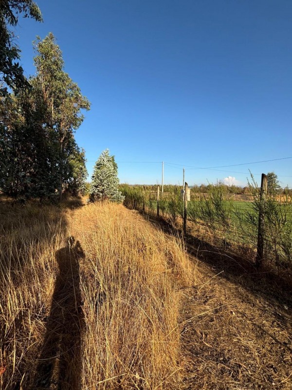 Venta de Parcela en San Ramón, Cato, Región de Ñuble