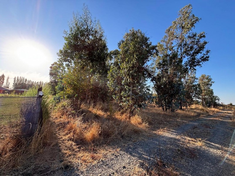 Venta de Parcela en San Ramón, Cato, Región de Ñuble