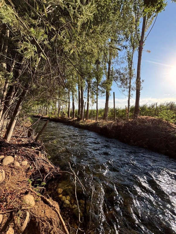 Venta de Parcela en San Ramón, Cato, Región de Ñuble