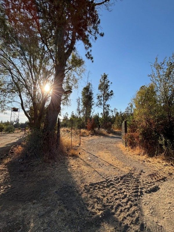 Venta de Parcela en San Ramón, Cato, Región de Ñuble