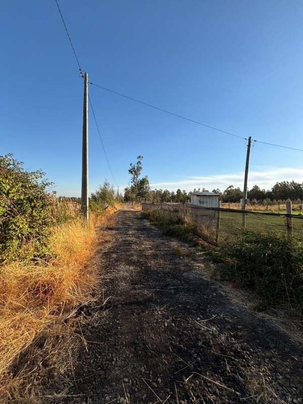 Venta de Parcela en San Ramón, Cato, Región de Ñuble