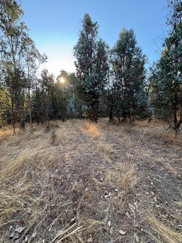 Venta de Parcela en San Ramón, Cato, Región de Ñuble