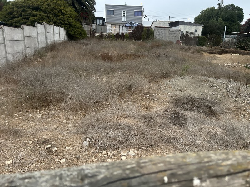 Fotografía de Vendo Sitio en Guanaqueros