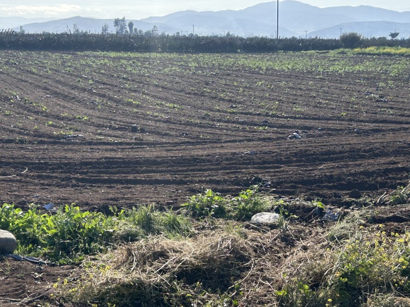 Vendo 10,8 Hectáreas Agricolas