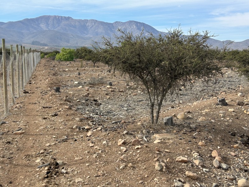 Vendo Terreno en Sector Santa Cristina