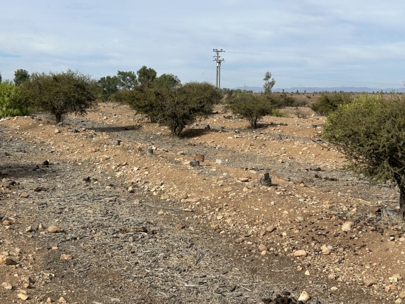 Fotografía de Vendo Terreno en Sector Santa Cristina