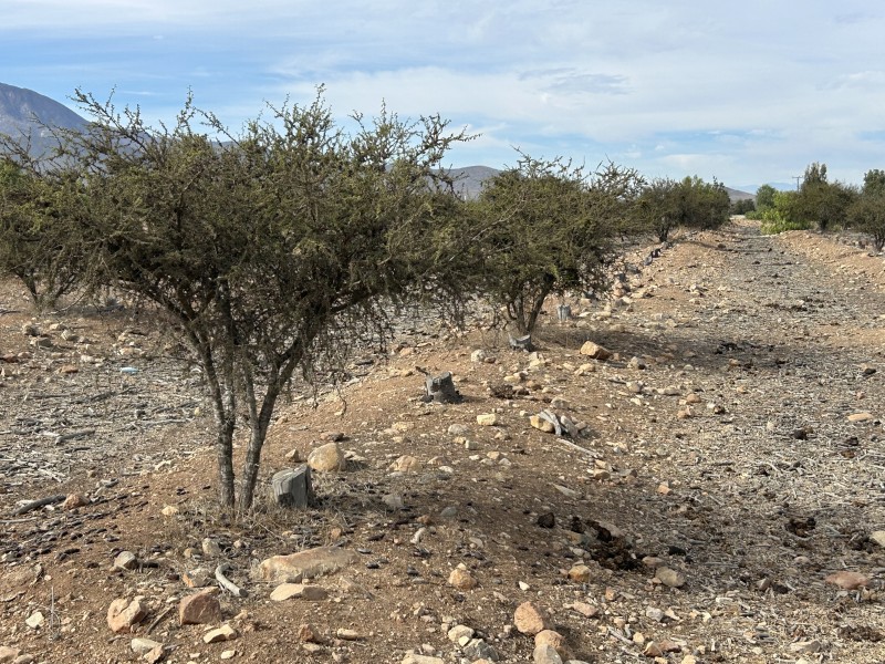 Vendo Terreno en Sector Santa Cristina