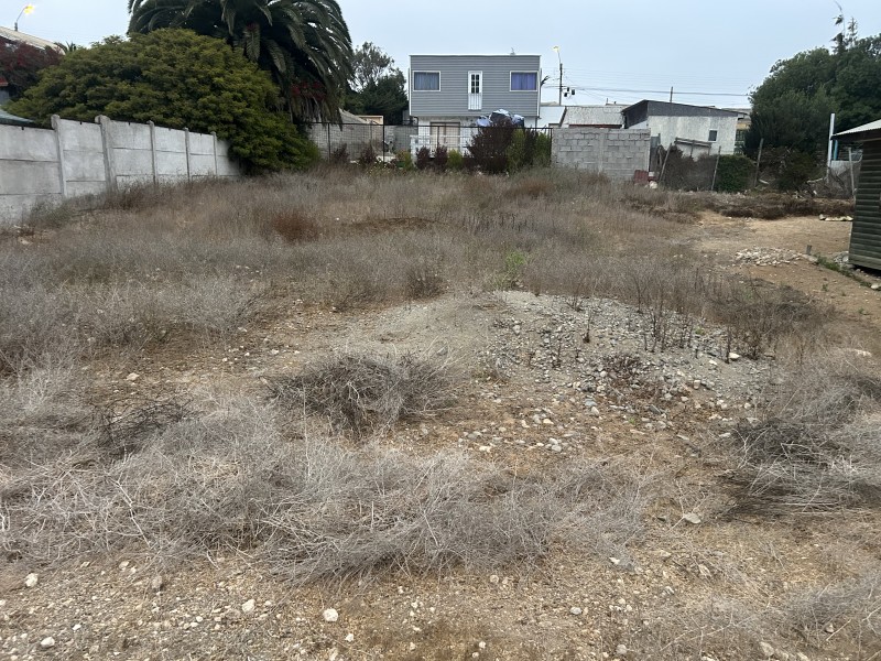 Vendo Sitio en Guanaqueros