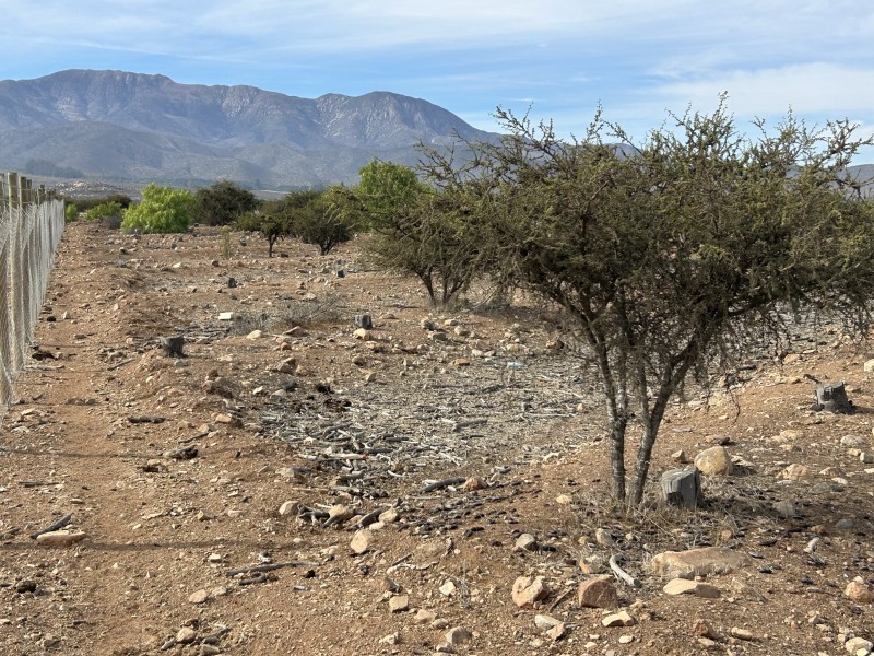 Vendo Terreno en Sector Santa Cristina