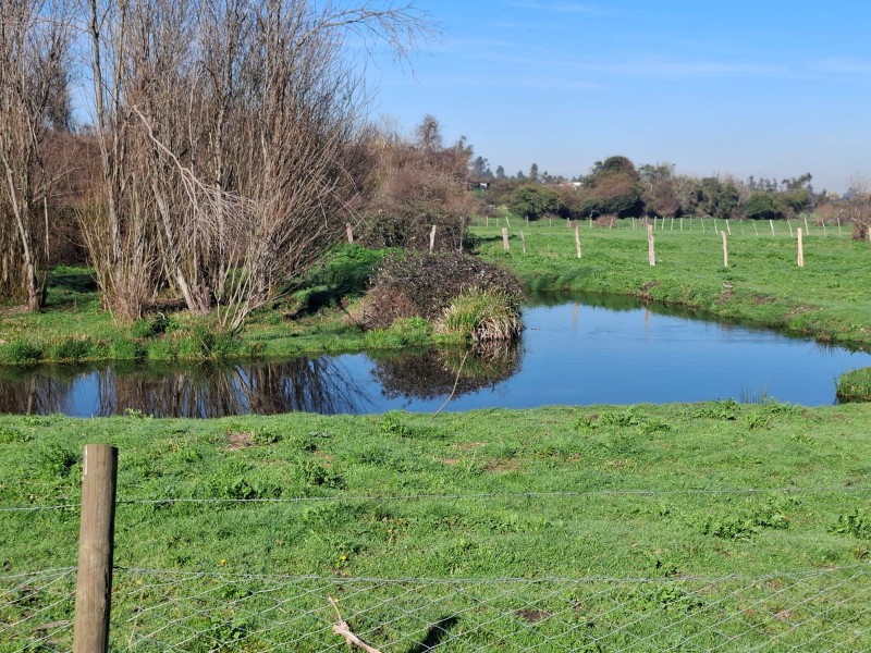 Lomas de San Luis/ Sector Parque Lantaño.
