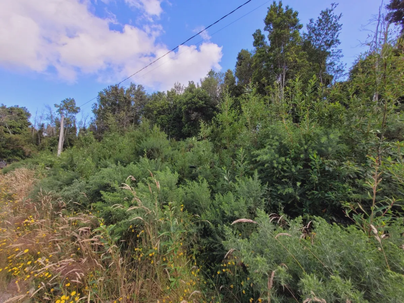 Parcela 5.000 M² Con 2 Casas en Condominio. Puerto Varas