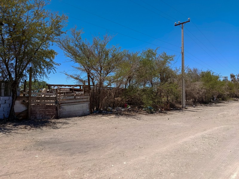 Terreno en Venta en la Tirana - 5.000 M² - Rol Propio