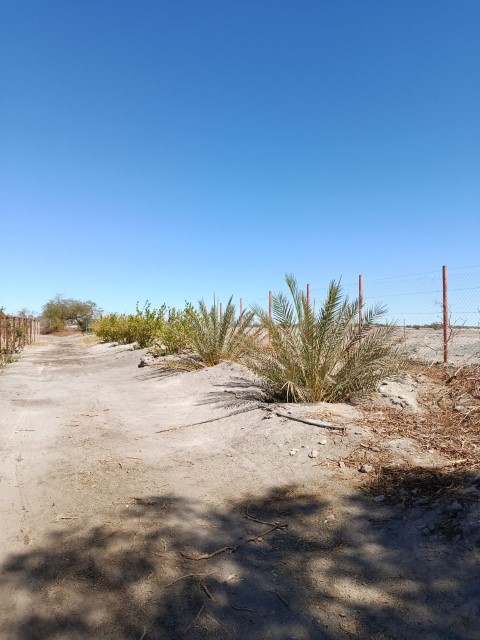 Terreno 37.800 M² Con Infraestructura Autosustentable en la