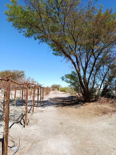 Terreno 37.800 M² Con Infraestructura Autosustentable en la