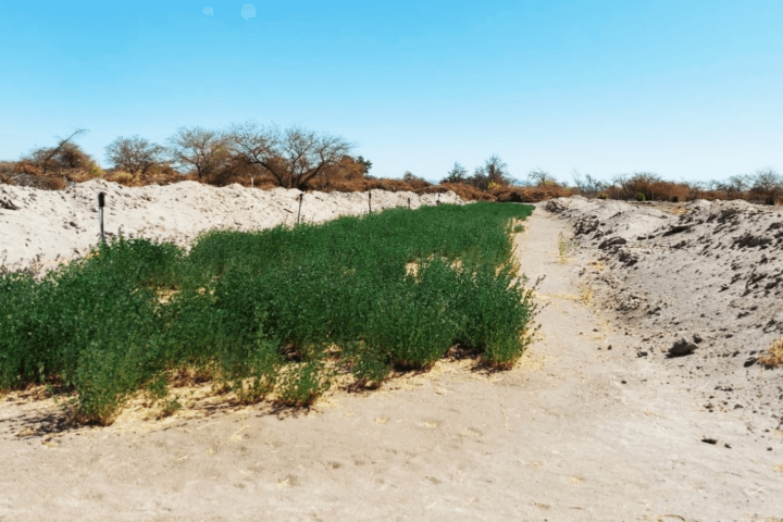 Terreno 37.800 M² Con Infraestructura Autosustentable en la