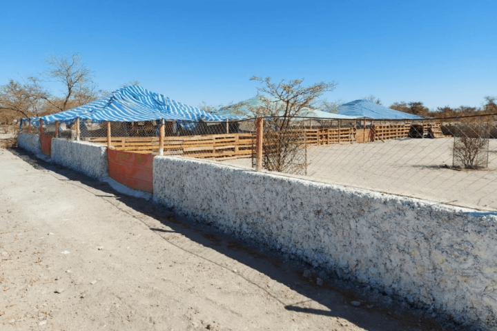 Terreno 37.800 M² Con Infraestructura Autosustentable en la