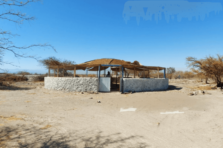 Terreno 37.800 M² Con Infraestructura Autosustentable en la