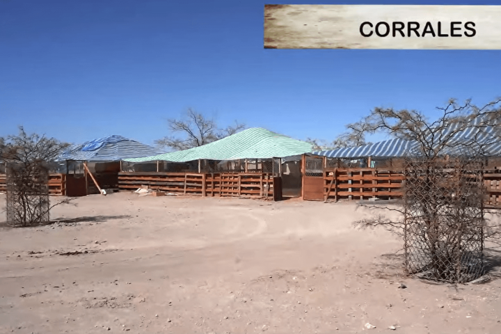 Terreno 37.800 M² Con Infraestructura Autosustentable en la