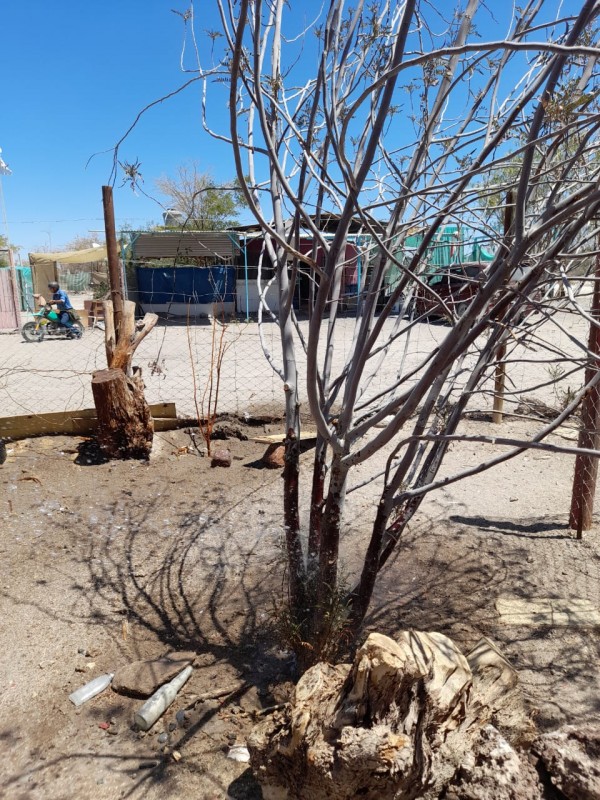 en Venta Terreno Con Casa Campestre - la Huayca