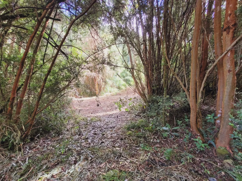 Parcela 5.000 M² Con 2 Casas en Condominio. Puerto Varas