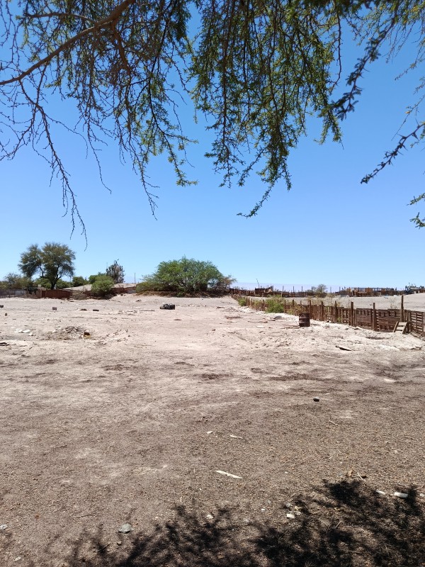 Terreno en Venta en la Tirana - 5.000 M² - Rol Propio