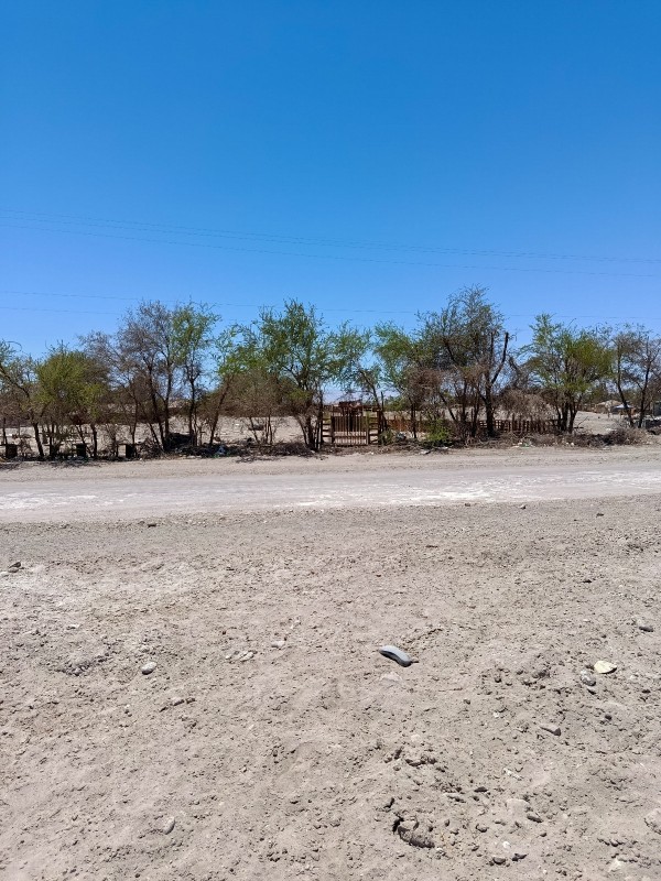 Terreno en Venta en la Tirana - 5.000 M² - Rol Propio