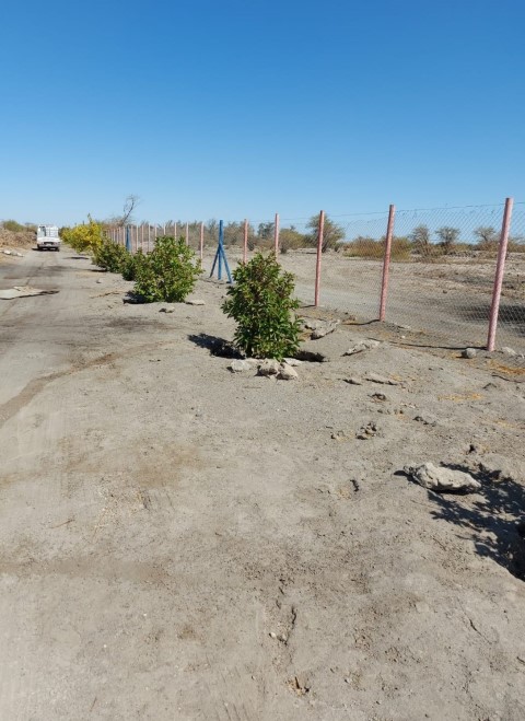 Terreno 37.800 M² Con Infraestructura Autosustentable en la