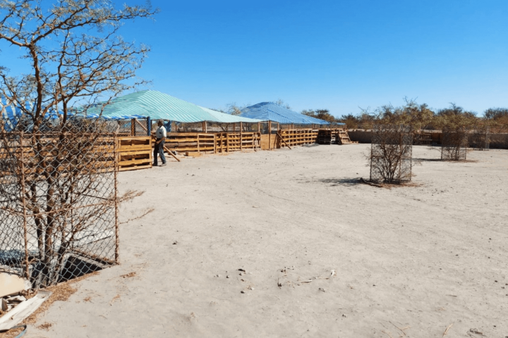 Terreno 37.800 M² Con Infraestructura Autosustentable en la