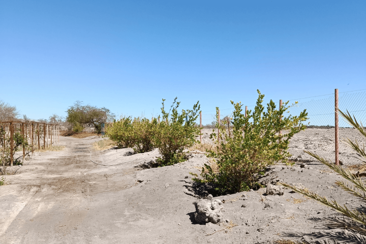 Terreno 37.800 M² Con Infraestructura Autosustentable en la
