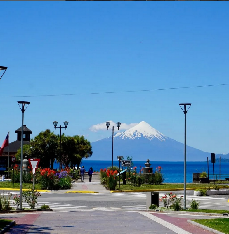 Parcela 5.000 M² Con 2 Casas en Condominio. Puerto Varas