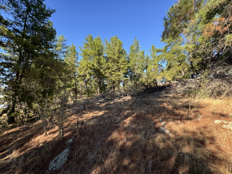 Se Venda Hermosa Parcela en Fundo el Peral