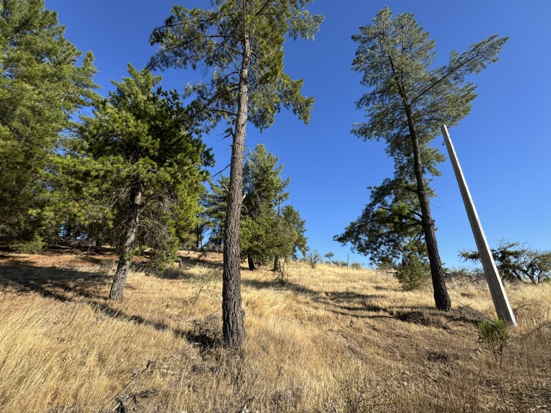 Se Venda Hermosa Parcela en Fundo el Peral
