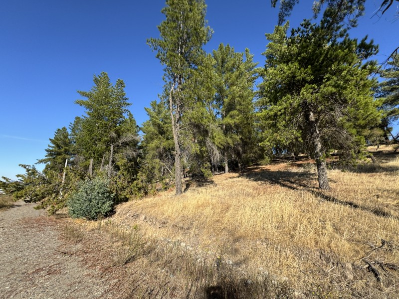 Se Venda Hermosa Parcela en Fundo el Peral