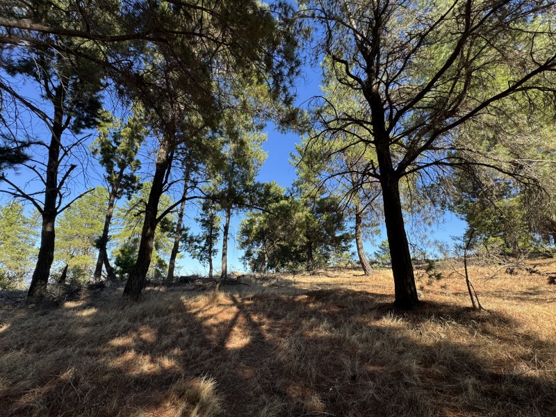 Se Venda Hermosa Parcela en Fundo el Peral