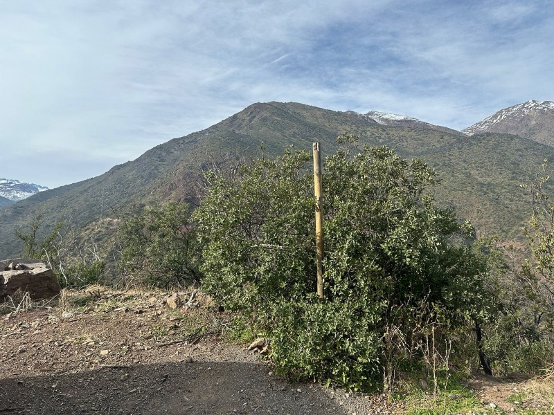 Hermoso Sitio Camino A Farellones, Precio de Oportunidad
