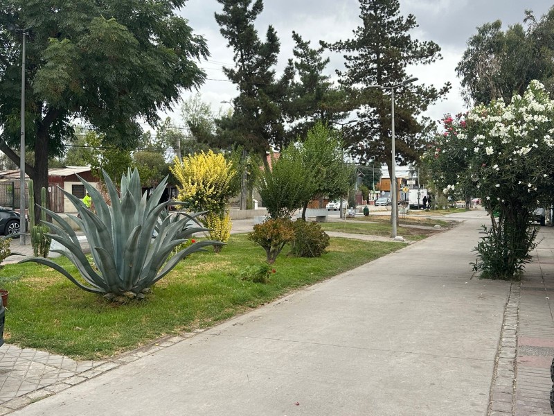 Se Vende Muy Buen Local Comercial Con Arrendatario